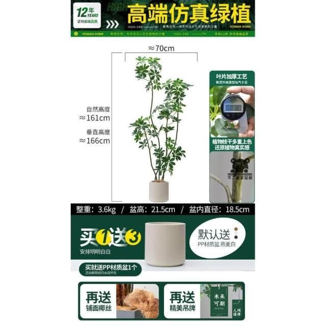 仿真綠植鴨腳木  仿真樹 仿生植物 高端輕奢擺件 盆栽擺件 簡約現代擺件 大型室內落地擺件