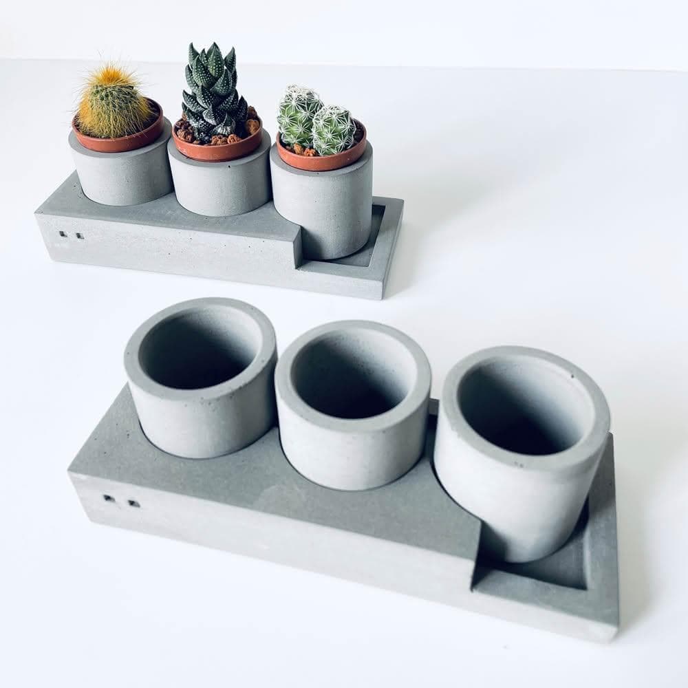 【Islanders Life 島人手作】火力全開 l大l 開運招財療癒仙人掌(新年禮物 情人節禮物 生日禮物 開幕升遷喬遷賀禮)