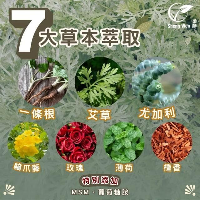 【Sheng Wen 梁時】艾草精油貼片(艾草暴富貼)一夜暴富/升職加薪/小人退散/金榜題名(交換禮物🎁)