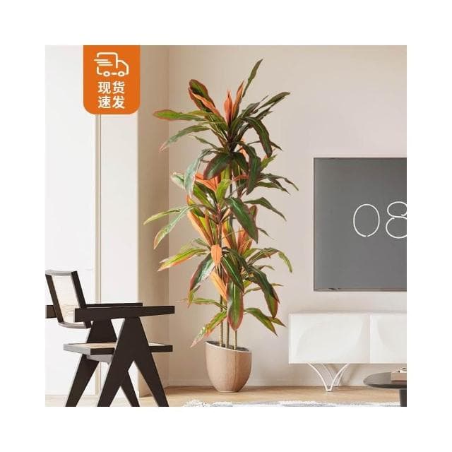 壹品輕奢 大型仿真植物 假樹 輕奢仿生綠植盆栽 仿真花鐵樹 室內客廳落地裝飾