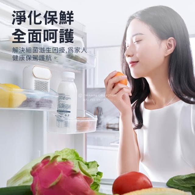 臭氧除味機 冰箱除臭器 冰箱淨化器 冰箱空氣清淨機 臭氧機 保鮮去味機 清新 消臭 空氣凈化 去味 USB充