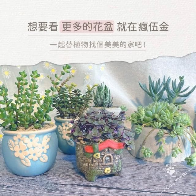 【瘋伍金】復古彩繪小屋盆栽 1.5吋盆 多肉盆栽 家用植物盆 有底孔 小盆栽 小陶盆