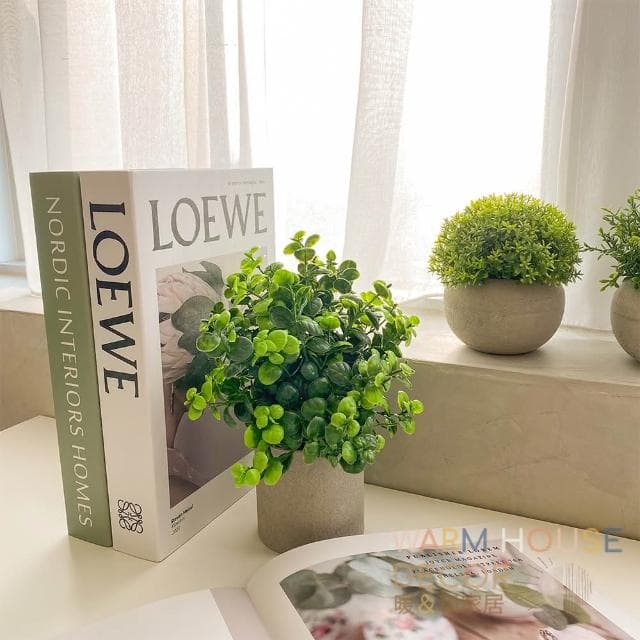 【Warm House Decor 暖和家居】北歐綠化仿真植物 (小盆栽 桌面小盆栽 假植物 盆栽 辦公室綠化 仿真植物)