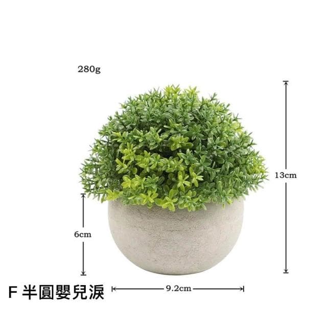 【Warm House Decor 暖和家居】北歐綠化仿真植物 (小盆栽 桌面小盆栽 假植物 盆栽 辦公室綠化 仿真植物)