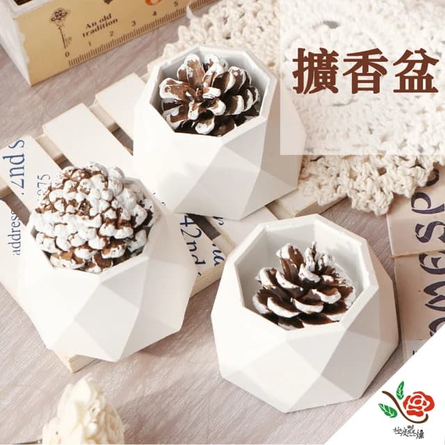 【極度花燥】擴香盆資材