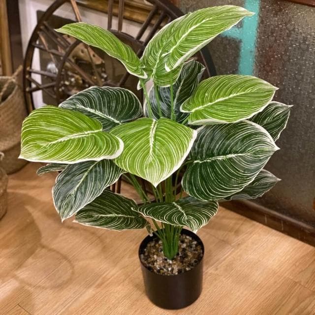 龜背葉 仿真植物 假盆栽 龜背芋 室內植物 花 植物 植栽 假植物 人造植物 GXS拍照道具(仿真植物 假盆栽)