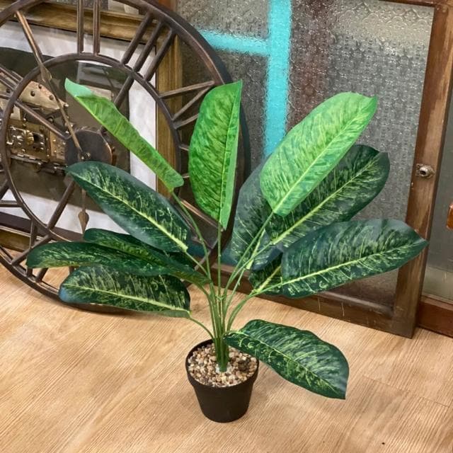 龜背葉 仿真植物 假盆栽 龜背芋 室內植物 花 植物 植栽 假植物 人造植物 GXS拍照道具(仿真植物 假盆栽)