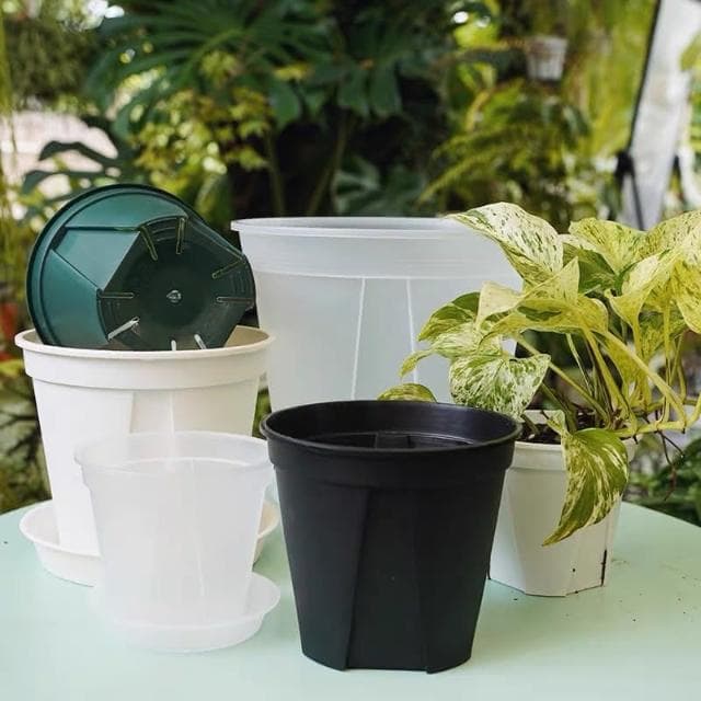 《斑啾植選》青山盆|4吋盆二入(觀葉植物專用盆|斑葉|合果芋|龜背芋|觀音蓮|室內植物|盆栽)