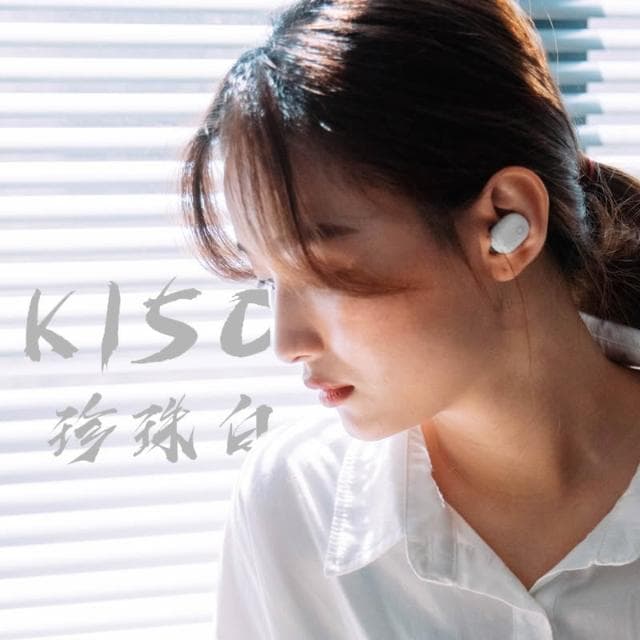 黑曜石5.0無線耳機 藍芽耳機 藍牙耳機 極致音質 藍芽 藍牙 耳機