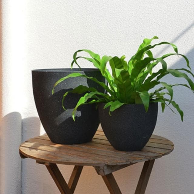 【ELEANOR 艾尼若】7.3吋 台灣出貨 花盆 仿水泥盆 仿石盆 大花盆 塑膠花盆 圓盆 花器 盆器 觀葉植物花盆 盆栽