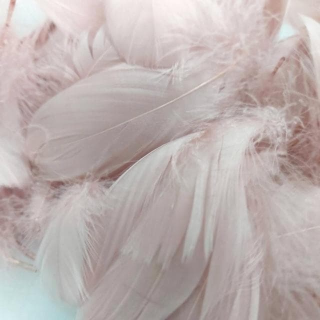 12H快速出貨 (氣球快易送)  約50根 羽毛 透明波波球 告白氣球 透明氣球 波波球 網美打卡 慶生 生日禮物 派對小物