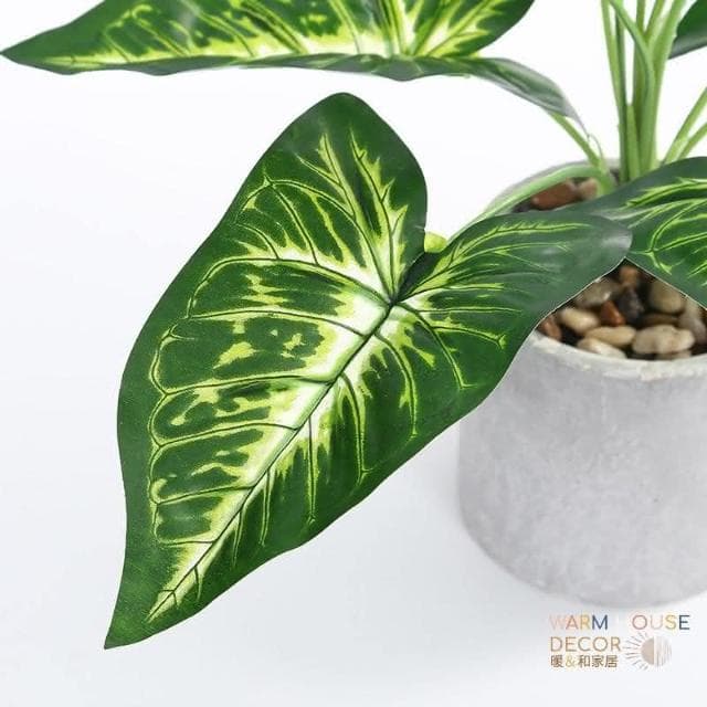 【Warm House Decor 暖和家居】台灣現貨北歐仿真植物擺飾(植物盆栽 仿真盆栽 仿真植物 植栽 仿真花 仿真植物 擺飾 居家裝飾 裝飾植物北歐仿真植物擺飾 植物盆栽 仿真盆栽 仿真植物 植栽 仿真花 仿真植物 擺飾 居家裝飾 裝飾植物)