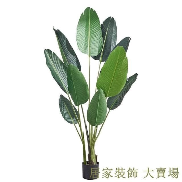 仿真綠植 樹 龜背葉 琴葉榕 大型北歐ins風仿真綠植旅人蕉天堂鳥客廳落地假盆栽景植物擺件樹