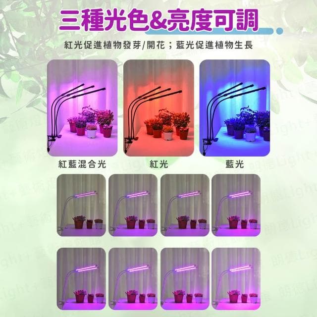 植物夾燈 植物燈 植物生長燈 植物日照燈 植物燈管 多肉燈 補光燈 夾燈 燈管 盆栽燈 紅藍燈 生長燈 水草燈