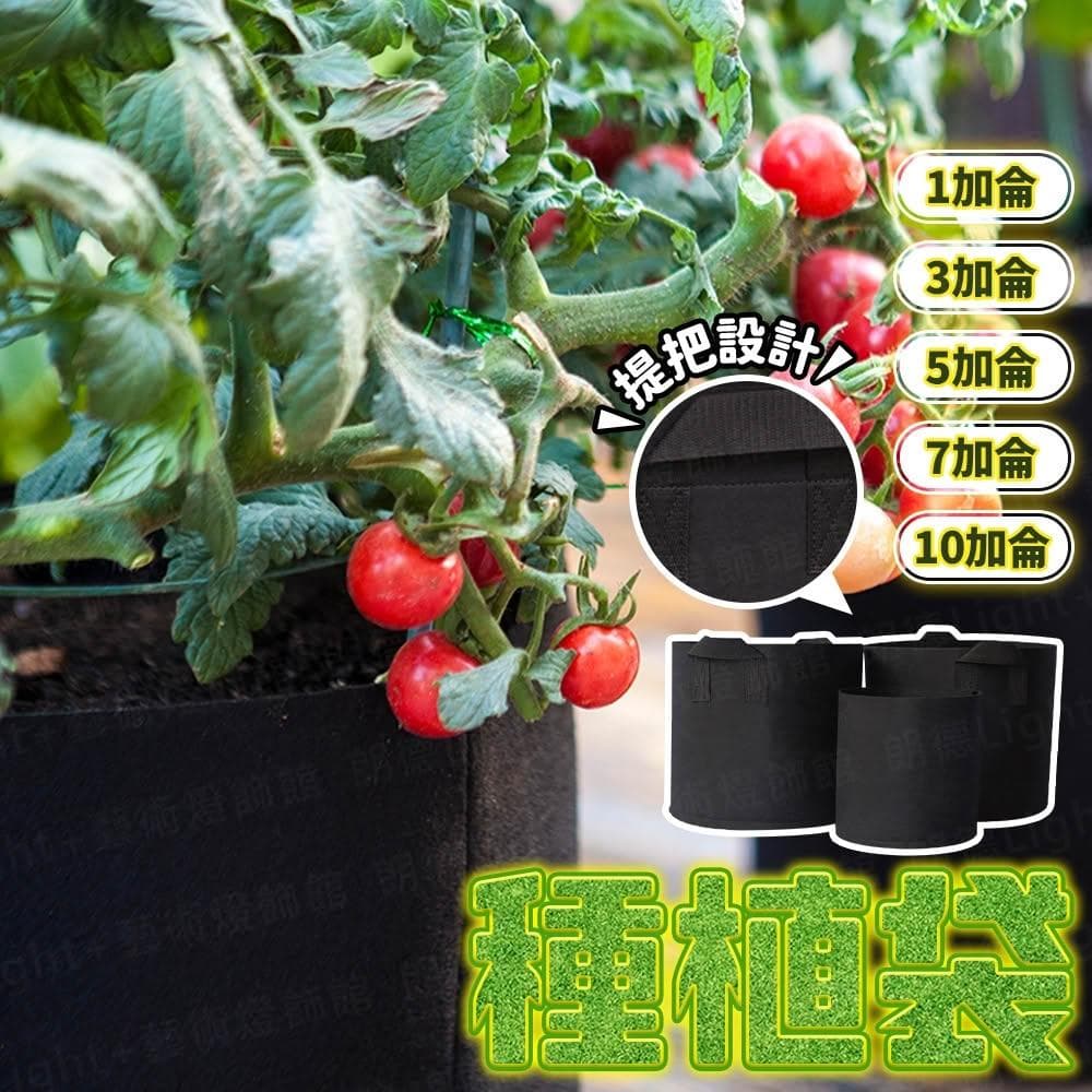 種植袋 有提把/無提把 移植袋 種植袋育苗袋 植物袋 植栽袋 植樹袋 不織布 無紡布 美植袋 移植袋育苗袋