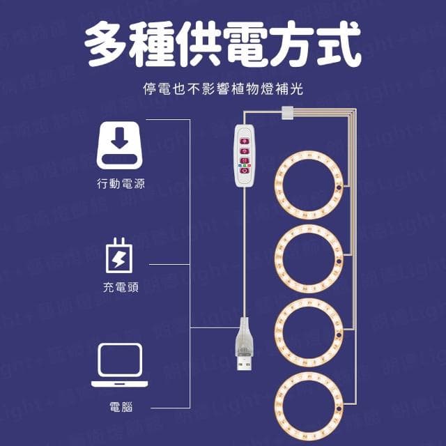 天使環植物燈 植物生長燈 植物日照燈 植物燈管 多肉燈 補光燈 夾燈 燈管 盆栽燈 紅藍燈 生長燈 水草燈