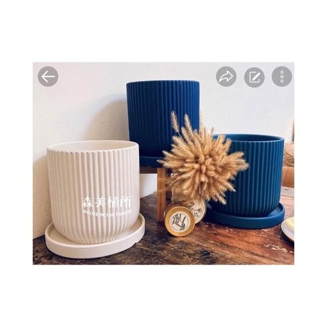 陶盆 簡約線條盆 北歐INS風 觀葉植物 水泥盆 盆器 盆栽