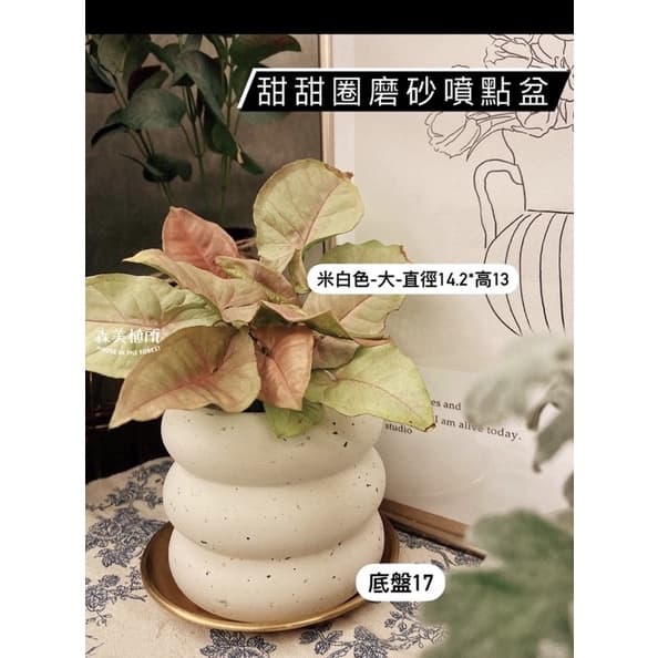陶盆 米其林甜甜圈噴點盆 觀葉植物 水泥盆 盆器 盆栽 陶器 植栽 簡約盆 多肉盆