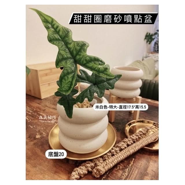 陶盆 米其林甜甜圈噴點盆 觀葉植物 水泥盆 盆器 盆栽 陶器 植栽 簡約盆 多肉盆