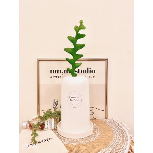 陶盆 米其林甜甜圈噴點盆 觀葉植物 水泥盆 盆器 盆栽 陶器 植栽 簡約盆 多肉盆