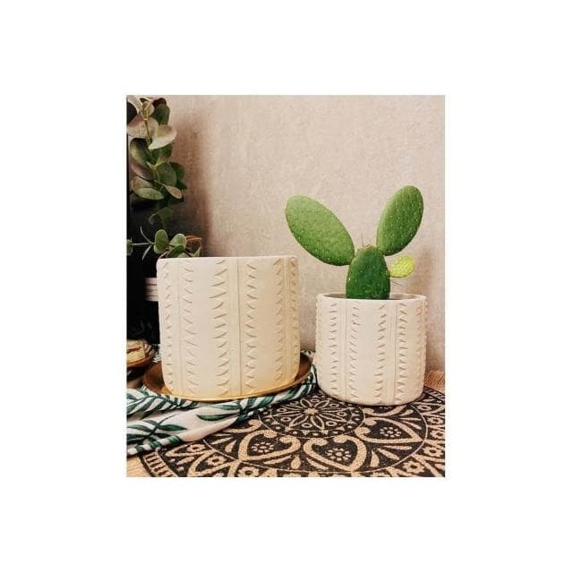 陶盆 米其林甜甜圈噴點盆 觀葉植物 水泥盆 盆器 盆栽 陶器 植栽 簡約盆 多肉盆