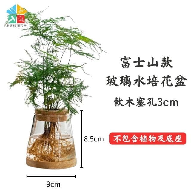 【含軟木塞】玻璃水培造型花盆 水耕植物盆 懶人花盆 水培盆 可養魚 水耕 觀賞盆栽 多肉植物 懶人盆栽