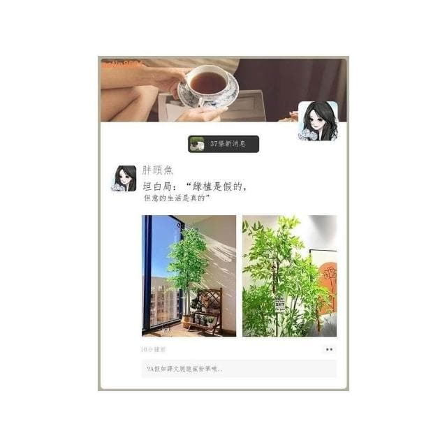 速發🔥 假植物 仿真植物 綠植 室內盆栽 大型客廳裝飾 擺件仿生植物 假花 仿真花 假盆栽 假樹 大型室內植物