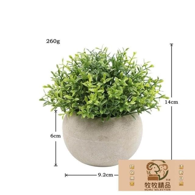 免運 現貨 北歐綠化盆栽 仿真植物 小盆栽 盆栽 辦公室盆栽 桌面小盆栽 室內盆栽 植物擺飾 綠化植物 植物