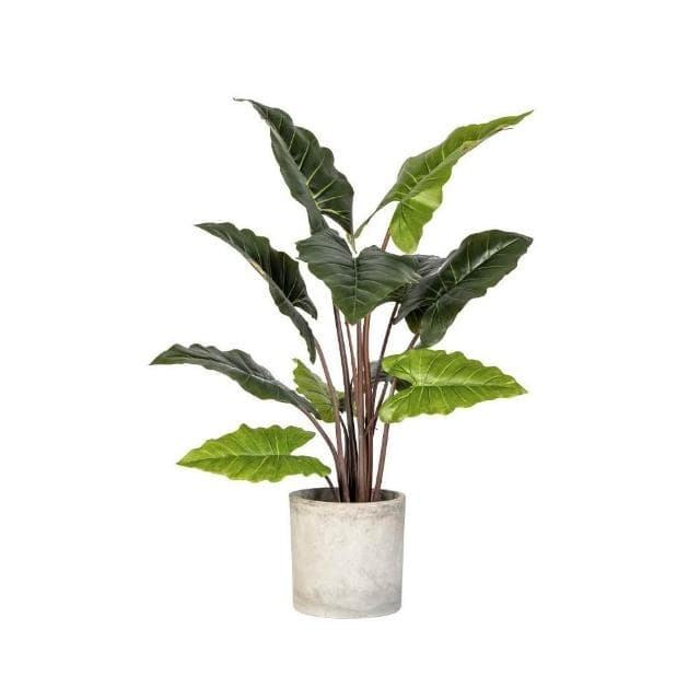 暖巢家居 宅配免運+預購 大型仿真闊葉植物 彩虹芋 假樹盆栽 客廳仿生綠植 造景裝飾 綠植擺件 沙發邊大型仿真綠植