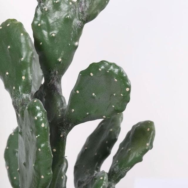 合枋傢俱 北歐風仿真萊昂仙人掌仙人柱沙漠植物盆栽擺件櫥窗落地綠植盆景