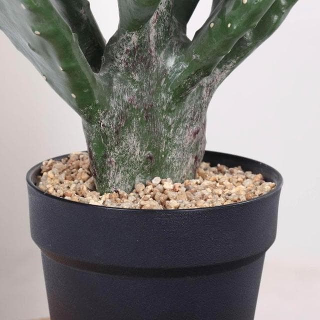 合枋傢俱 北歐風仿真萊昂仙人掌仙人柱沙漠植物盆栽擺件櫥窗落地綠植盆景