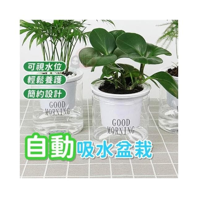 【琳媛小舖】吸水花盆 自動吸水盆栽 透明花盆 懶人盆栽 塑膠盆栽 水耕植物 花盆 綠植 簡約花盆 GA003