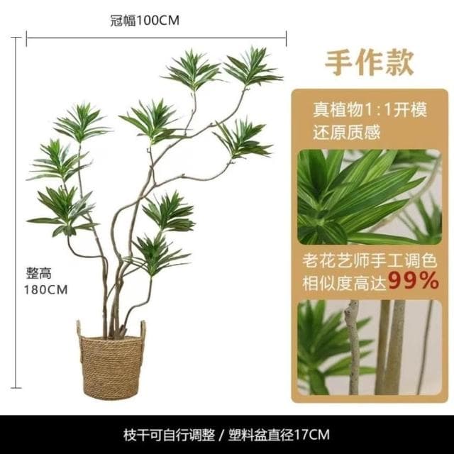 仿真綠植百閤竹大型北歐室內客廳櫥窗網紅造型假植物造景盆栽擺件居傢裝飾 仿真植物 人造樹 假樹 假植物