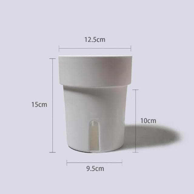 原植|植物盆栽|龜背芋·電信蘭·辦公室植物·居家擺設·室內植物·耐陰植物·水泥盆栽·免澆水盆栽·自動澆水花盆·3吋