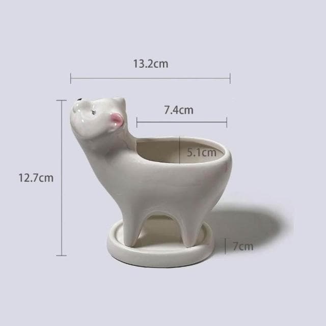 原植|植物|小天使蔓綠絨·水泥盆栽·植物·盆栽·淨化空氣·辦公室桌面盆栽·室內植物·網紅植物·3吋·5吋