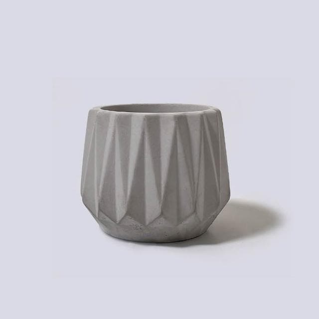 原植|植物|細葉卷柏·耐陰植物·室內植物·療癒盆栽·熱帶雨林·觀葉植物·浴室植物