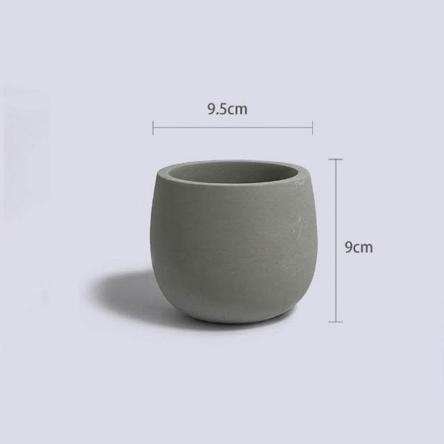 原植|植物|細葉卷柏·耐陰植物·室內植物·療癒盆栽·熱帶雨林·觀葉植物·浴室植物