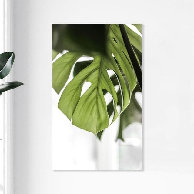 【Noname】植物一隅 植物畫 壁畫 板畫 背景畫 台灣工廠 北歐畫 掛畫 裝飾 畫 簡約 清新 掛布 文青 抽象畫 複製畫