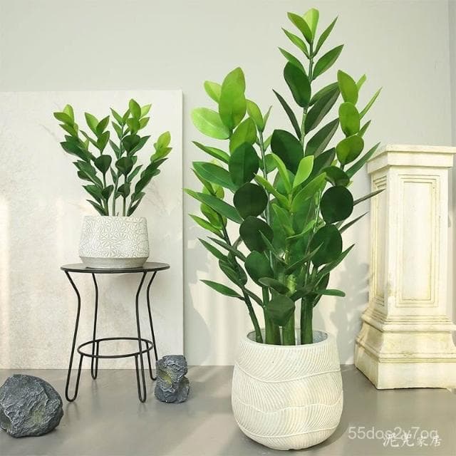 🔥免運下殺🔥仿真綠植法蘭克福風情 仿真髮財樹盆栽 假植物金錢樹室內客廳高檔綠植裝飾假樹 仿真植物假盆栽擺飾假花裝飾