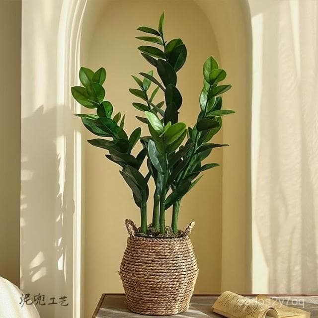 🔥免運下殺🔥仿真綠植法蘭克福風情 仿真髮財樹盆栽 假植物金錢樹室內客廳高檔綠植裝飾假樹 仿真植物假盆栽擺飾假花裝飾