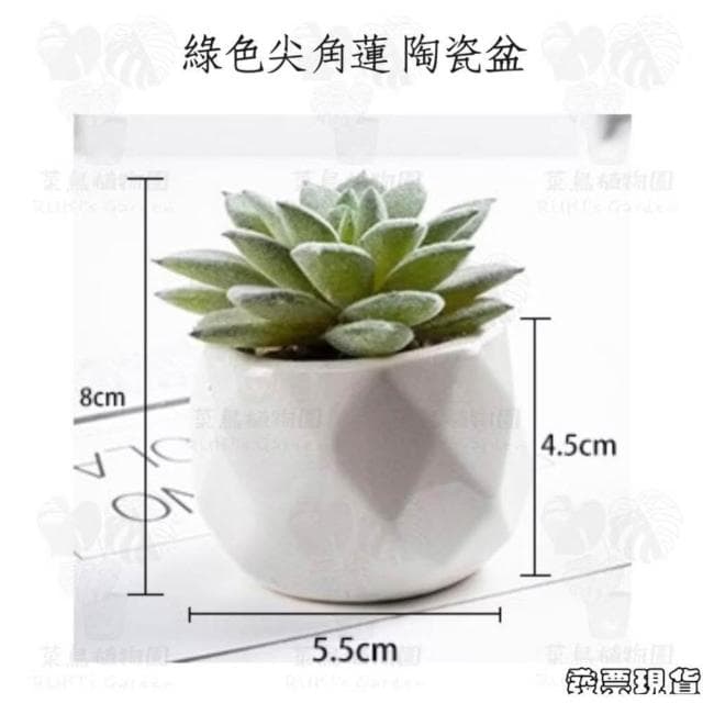 沐晨植物園|仿真植物 仿真多肉 盆栽裝飾 小盆栽假植物 假盆栽 辦公室盆栽 迷你盆栽 仿真盆栽 仿真植物盆栽 居家裝飾