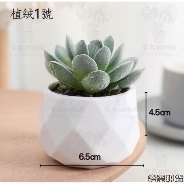 沐晨植物園|仿真植物 仿真多肉 盆栽裝飾 小盆栽假植物 假盆栽 辦公室盆栽 迷你盆栽 仿真盆栽 仿真植物盆栽 居家裝飾