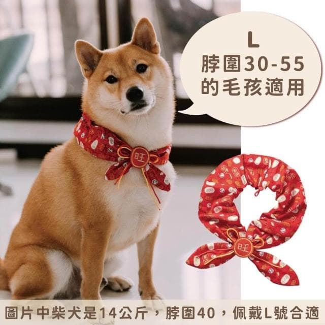 現貨|寵物 狗狗 貓貓 毛孩 領巾 可愛 新年 過年 生日 抓周 婚禮 節慶 喜氣 喜慶 裝飾 |GoGraphy