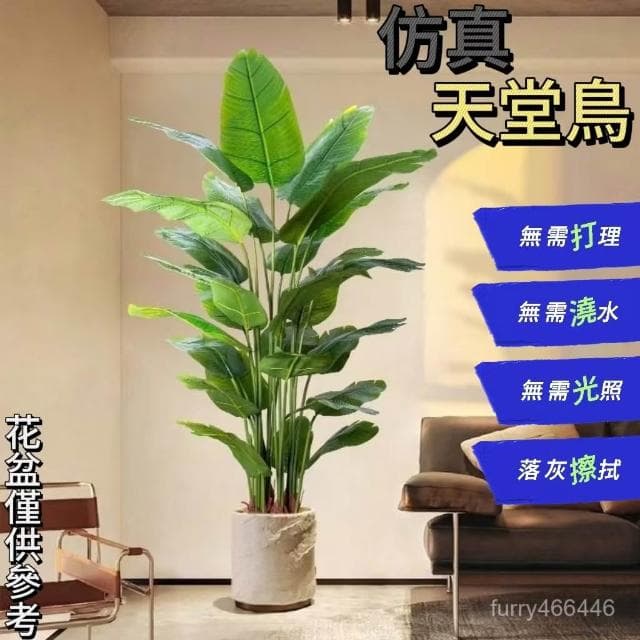 💖 仿真綠植 高端假植物天堂鳥 仿真花 輕奢室內盆栽 裝飾樹 擺件客廳仿生 綠植盆栽人造植 假花盆景擺