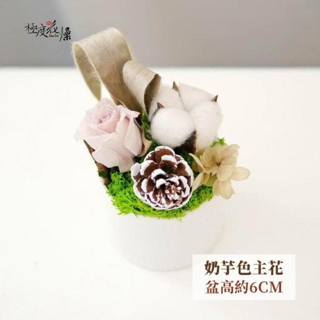 屬於你的 聖誕 小桌花 禮物 極度花燥 花禮 永生花 乾燥花 不凋花 桌花 畢業季 畢業 七夕 情人節