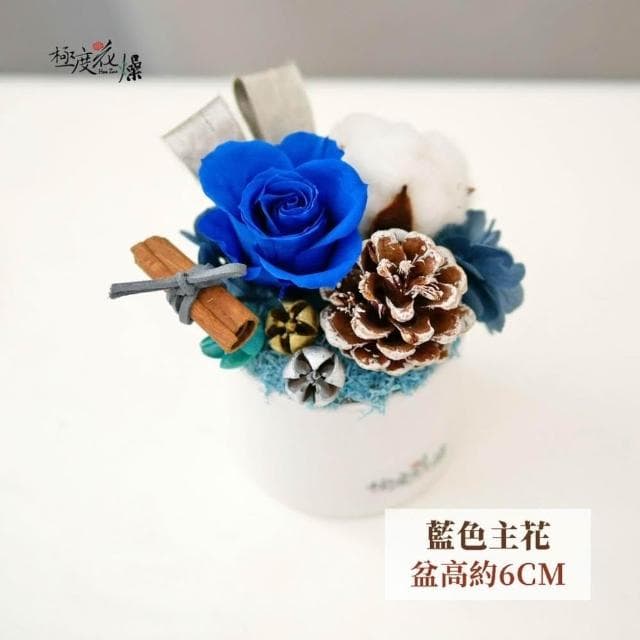 屬於你的 聖誕 小桌花 禮物 極度花燥 花禮 永生花 乾燥花 不凋花 桌花 畢業季 畢業 七夕 情人節