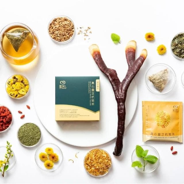 靈芝草人 真心靈芝茶禮盒 靈芝花草茶禮盒 中秋節/婚禮禮物/蛇年禮盒/長輩送禮推薦/生日祝壽禮盒 伴手禮
