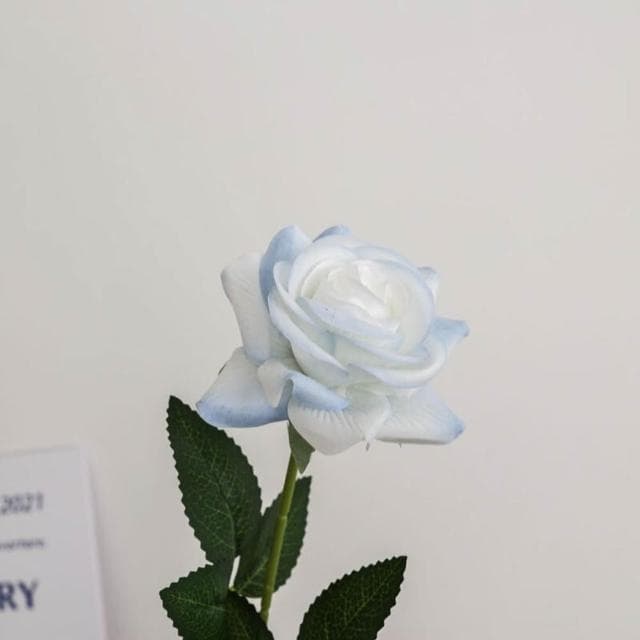 ins密西根碎冰藍玫瑰 漸變色 仿真花 禮物 高檔仿真花 家居裝飾 拍照道具 七夕情人節禮物