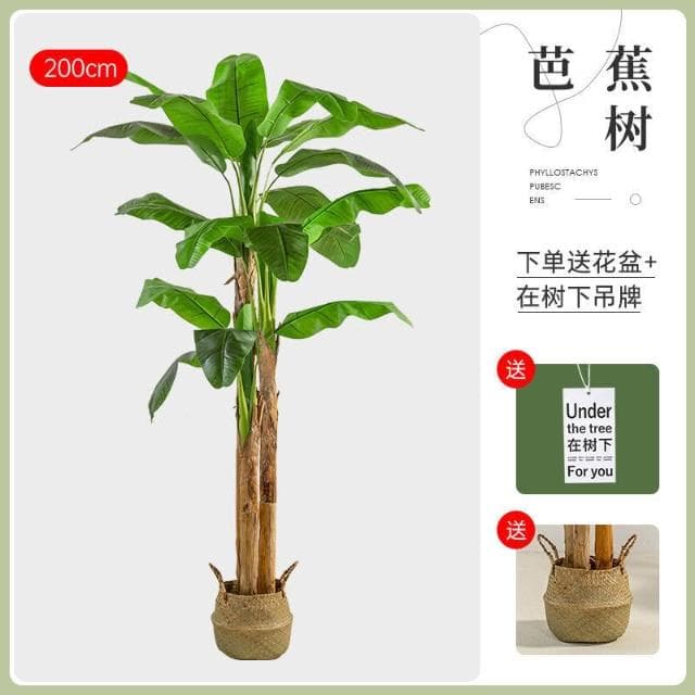 【未晚家居館】 仿真綠植芭蕉樹室內裝飾大型落地式盆栽擺件客廳高檔ins風假植物