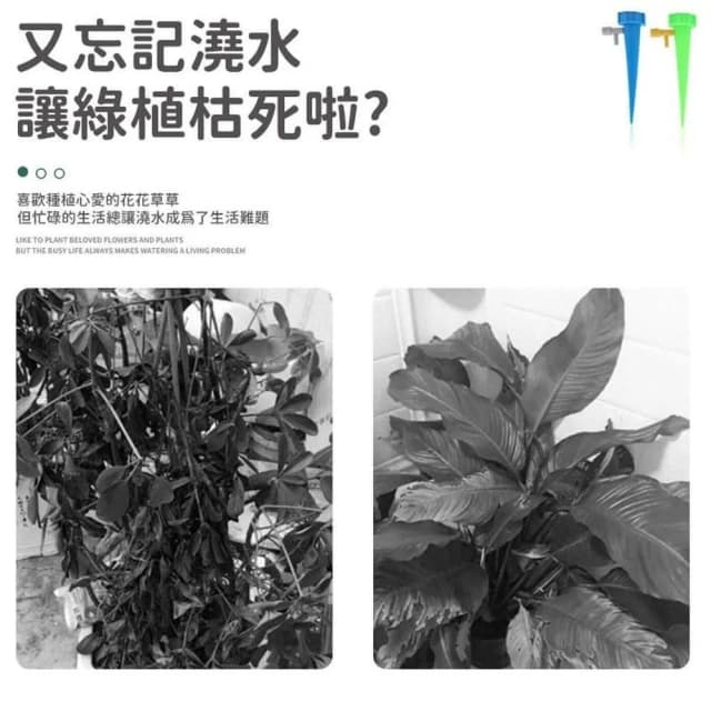【同闆購物】自動澆花器 盆栽自動澆花器 澆水器 滴水器 盆栽澆水神器 澆水神器 可調節澆花器 園藝 植物